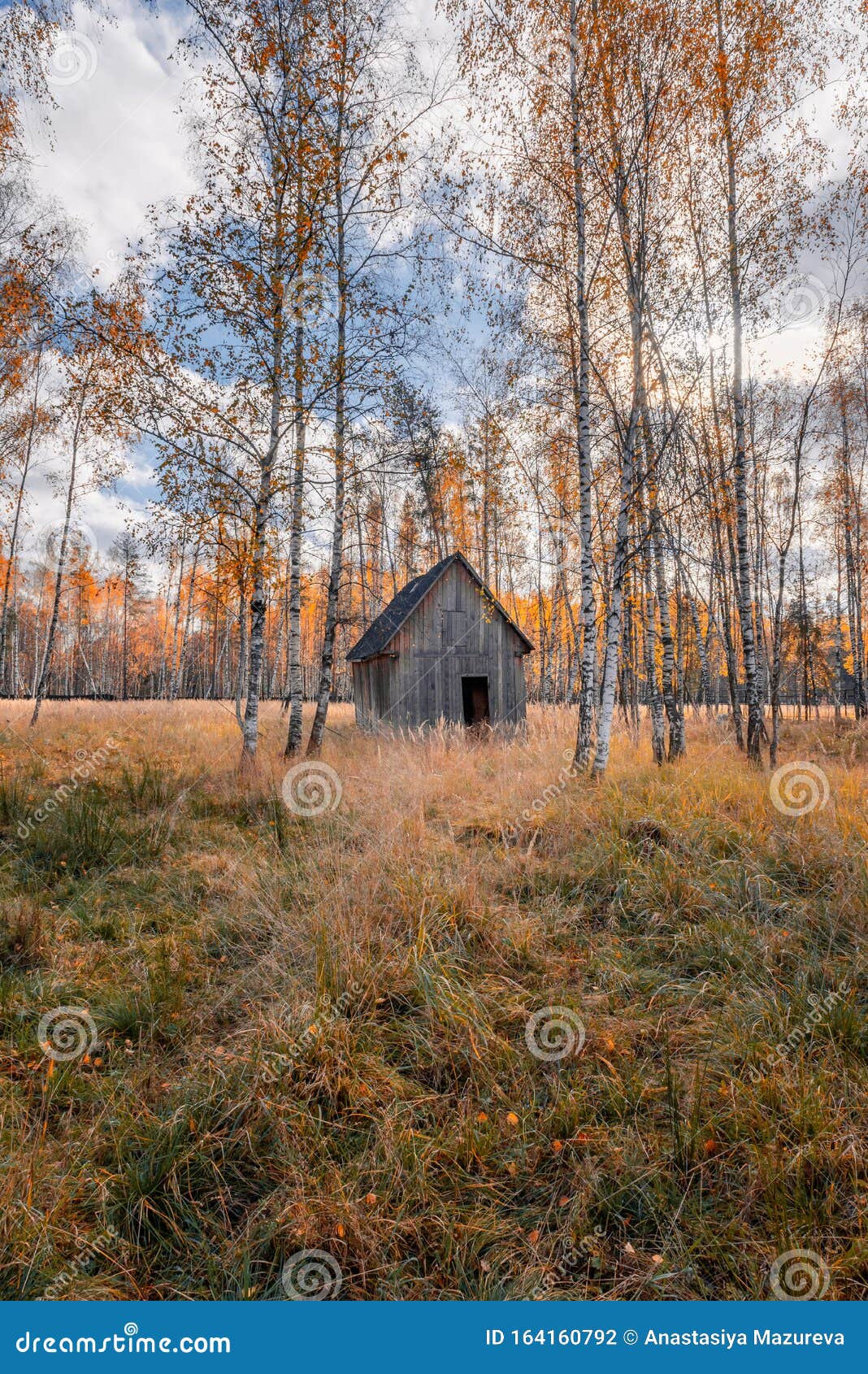 Дом В Осеннем Лесу Фото