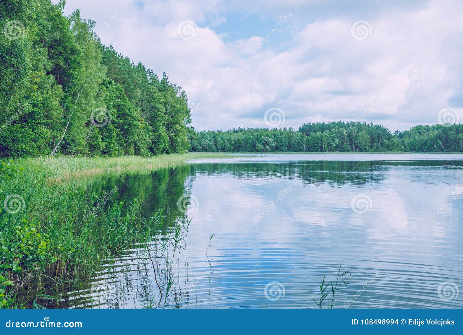 Чистая Природа Фото Чистая Природа Фото