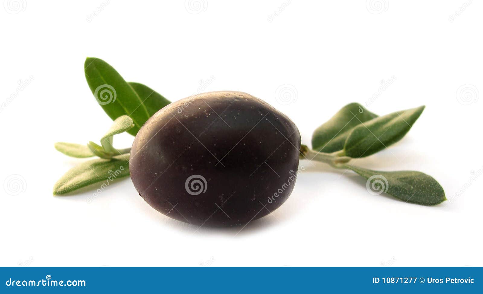 Оливка с зелеными листьями стоковое изображение. изображение насчитывающей  пурпурово - 10871277