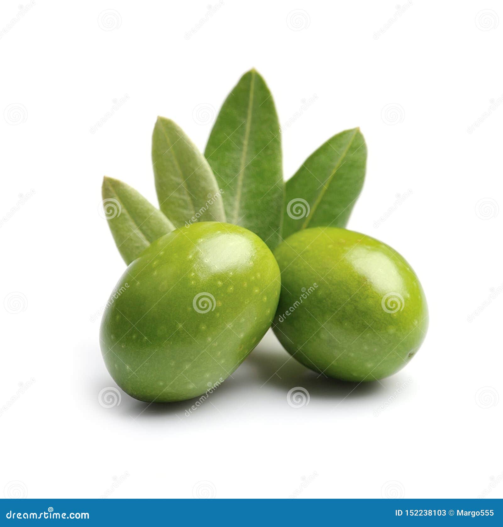 Оливка с листьями стоковое изображение. изображение насчитывающей масло -  152238103
