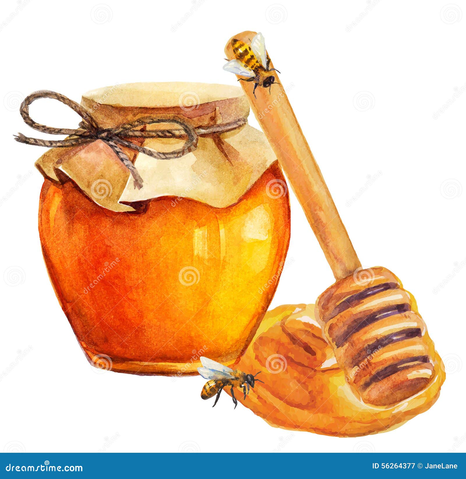 Мед рисунок