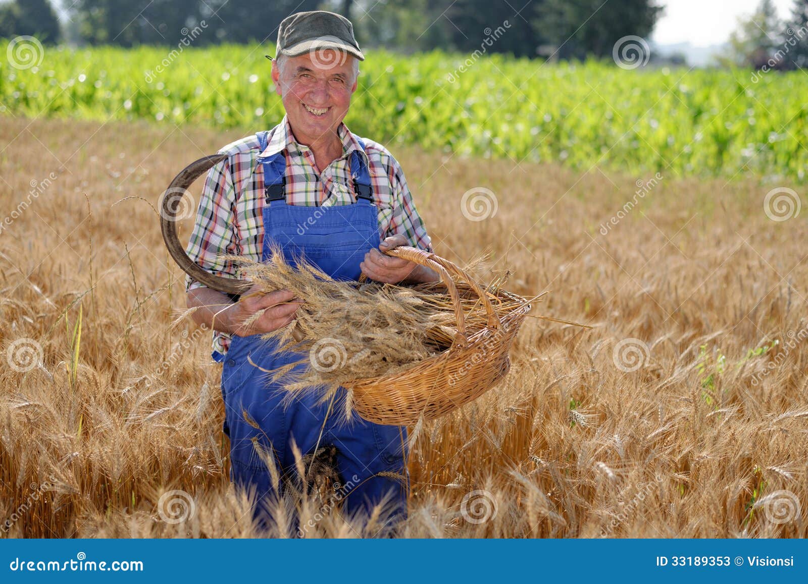Какую работу выполняет фермер. Фермер и пшеничное поле. Фермер в поле. Фермер в поле пшеница. Мужчина фермер в поле пшеницы.