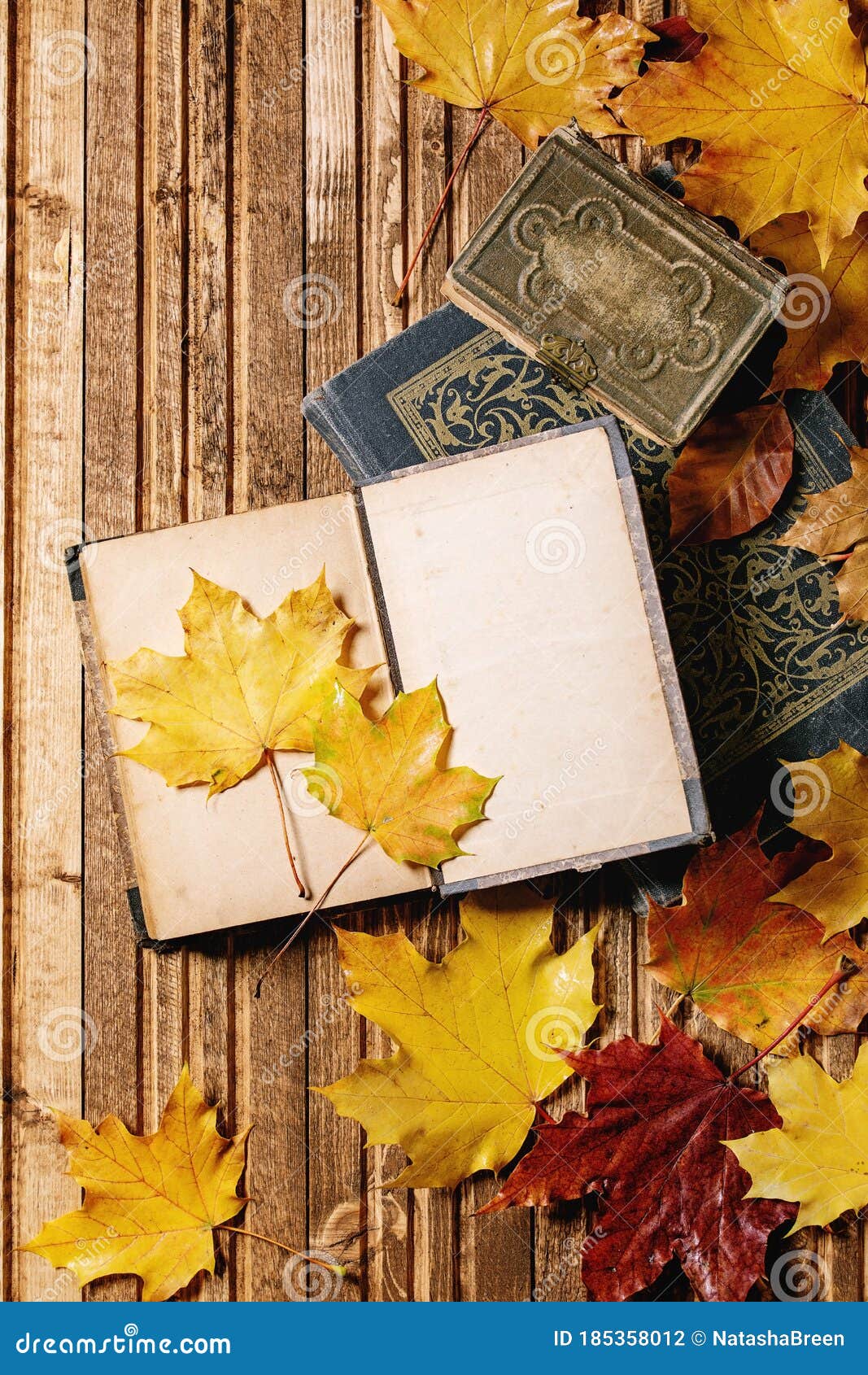 Осенние Фото С Книгой Осенние Фото С Книгой