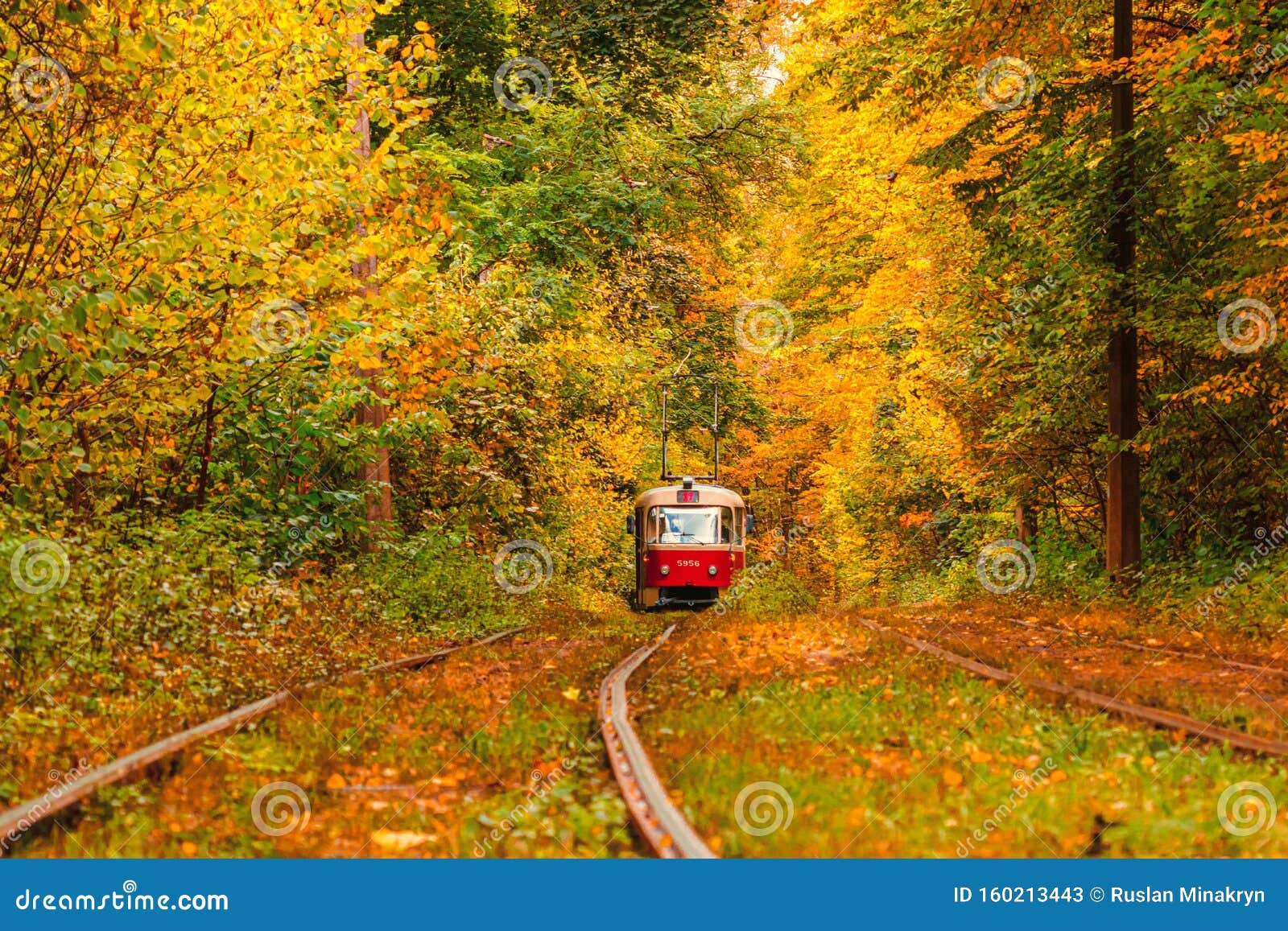 Осенний Трамвай Фото
