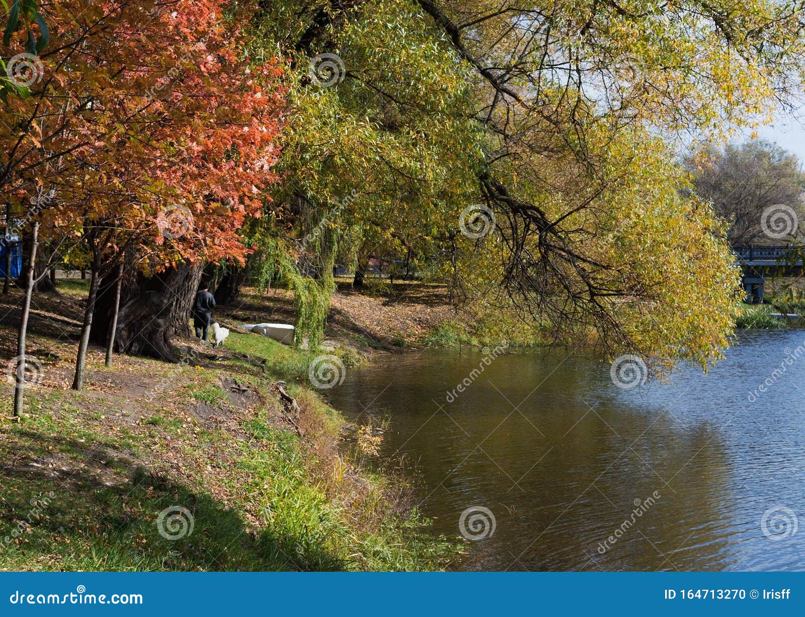 Осенний Пейзаж С Рекой Фото