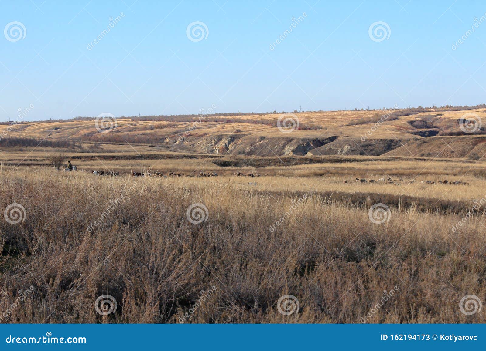 Осенний степной пейзаж Животные на пастбищах Стоковое Изображение -  изображение насчитывающей видимо, ландшафт: 162194173