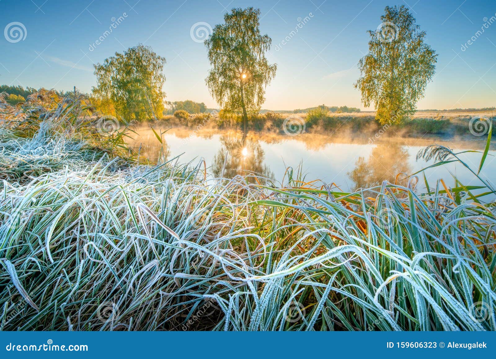 Морозное Осеннее Утро Фото Морозное Осеннее Утро Фото