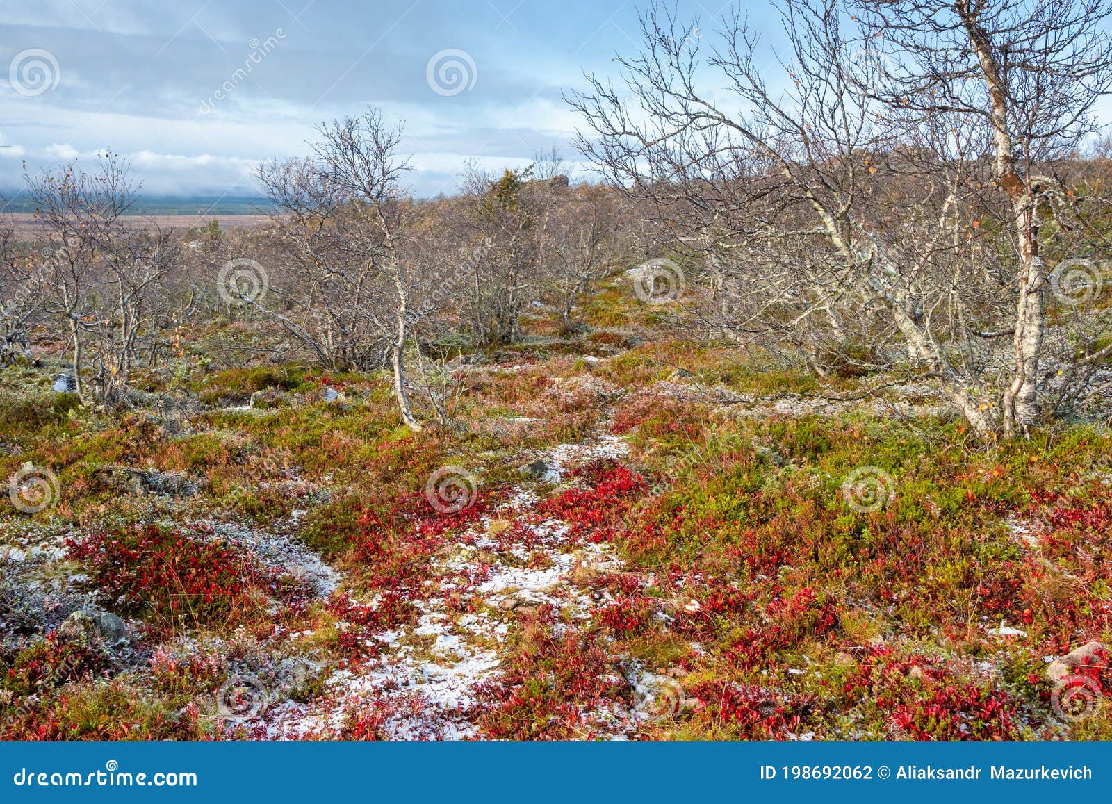 Осень В Тайге Фото