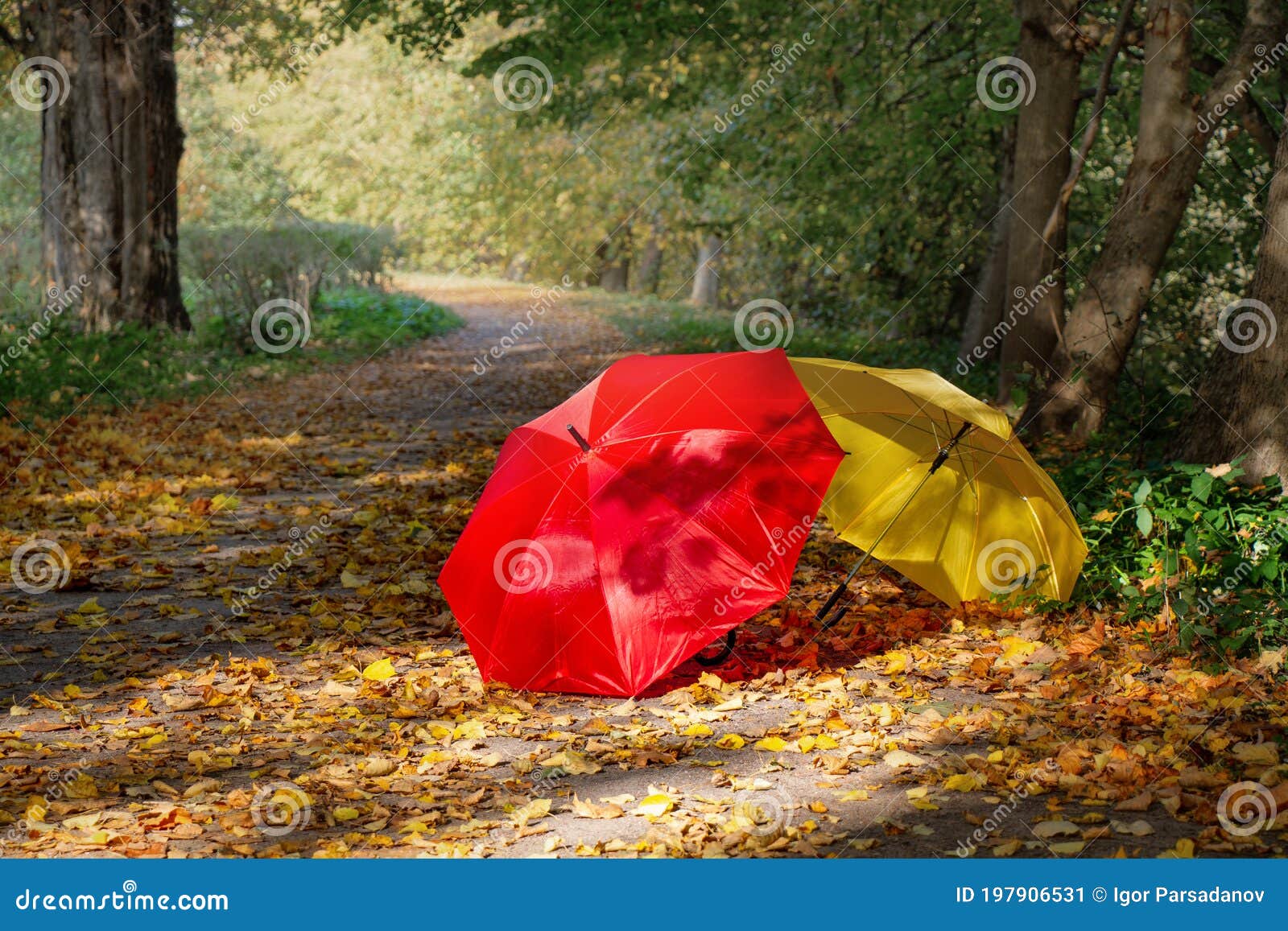 Осенние Фото С Красным Зонтом