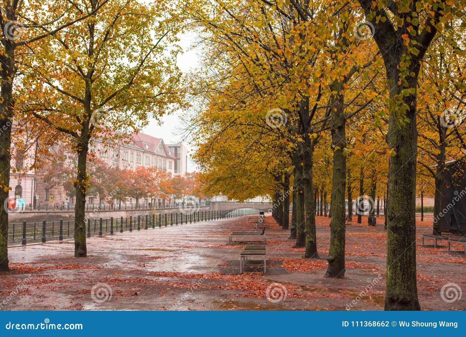 Осень В Европе Фото