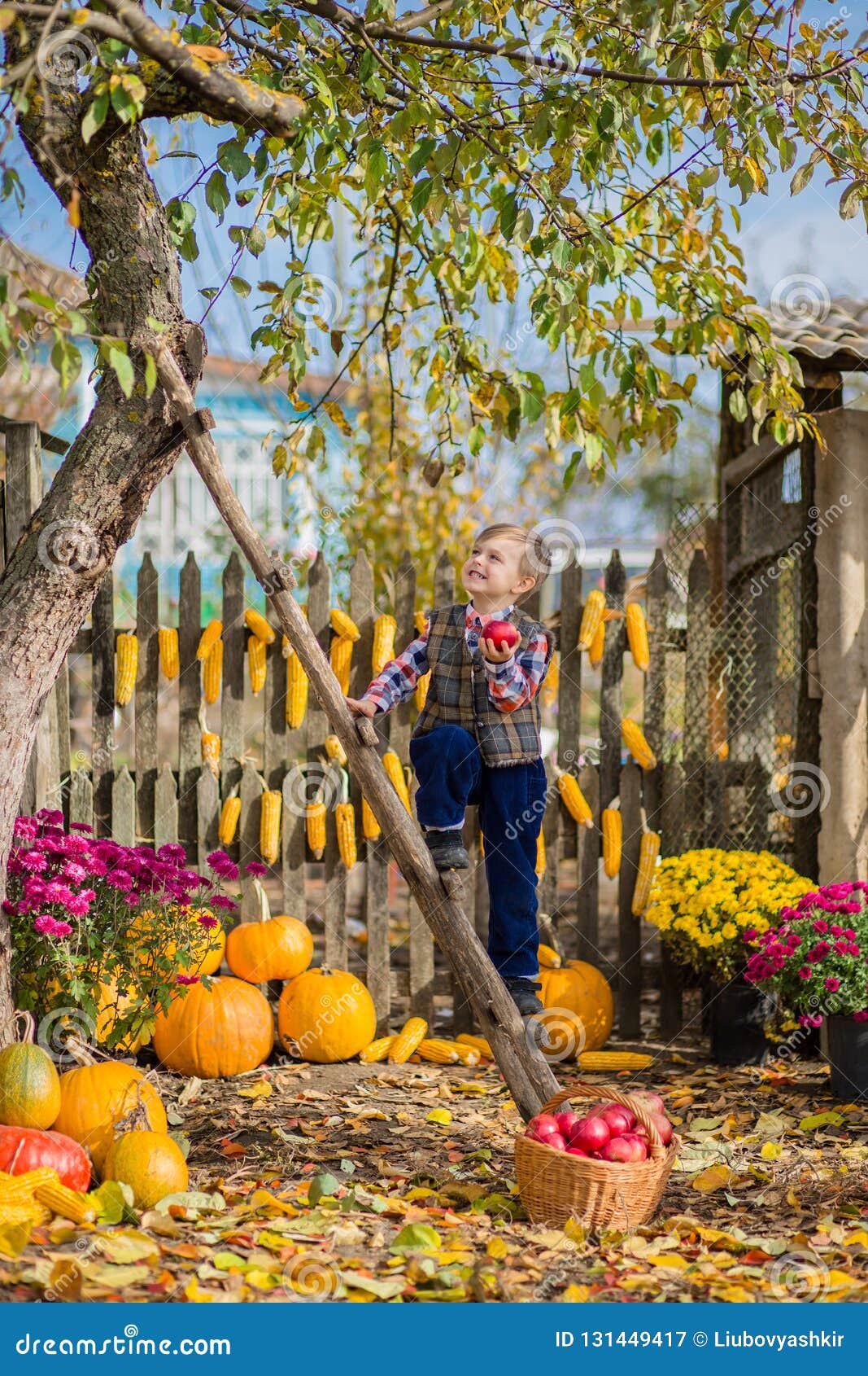 Фото Детей С Яблоками Осень