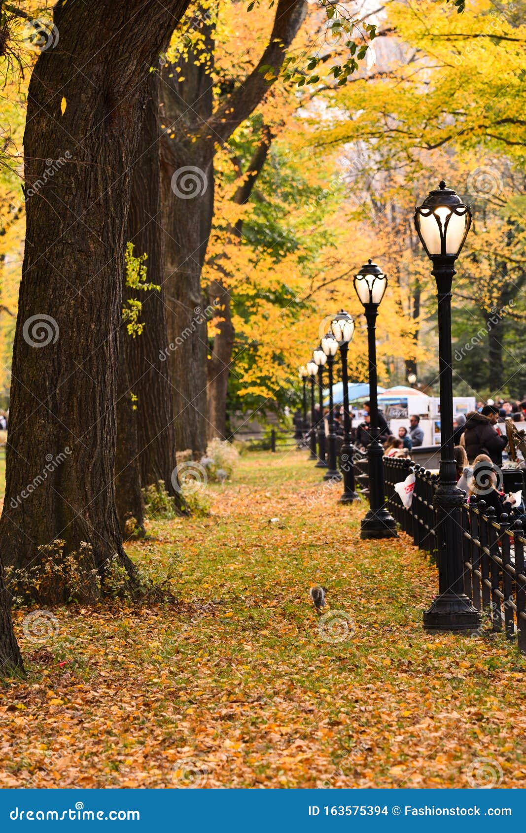 Скачать Фото Осенний Парк