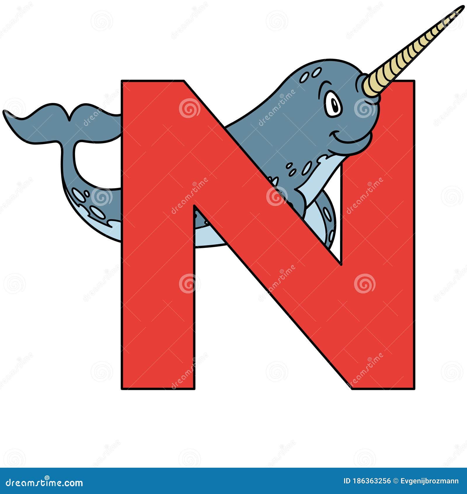 Animal Alphabet. Capital Letter N, Narwhal. Illustration Stock Vector -  Illustration of english, letter: 186363256