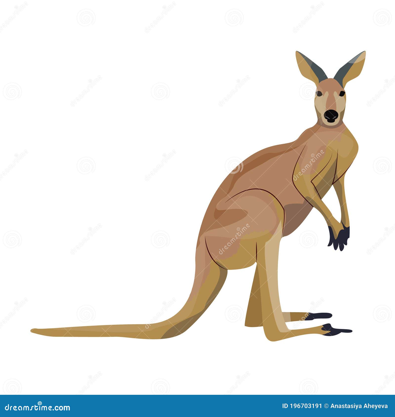 Get Unique Species Of Animals In Australia Images