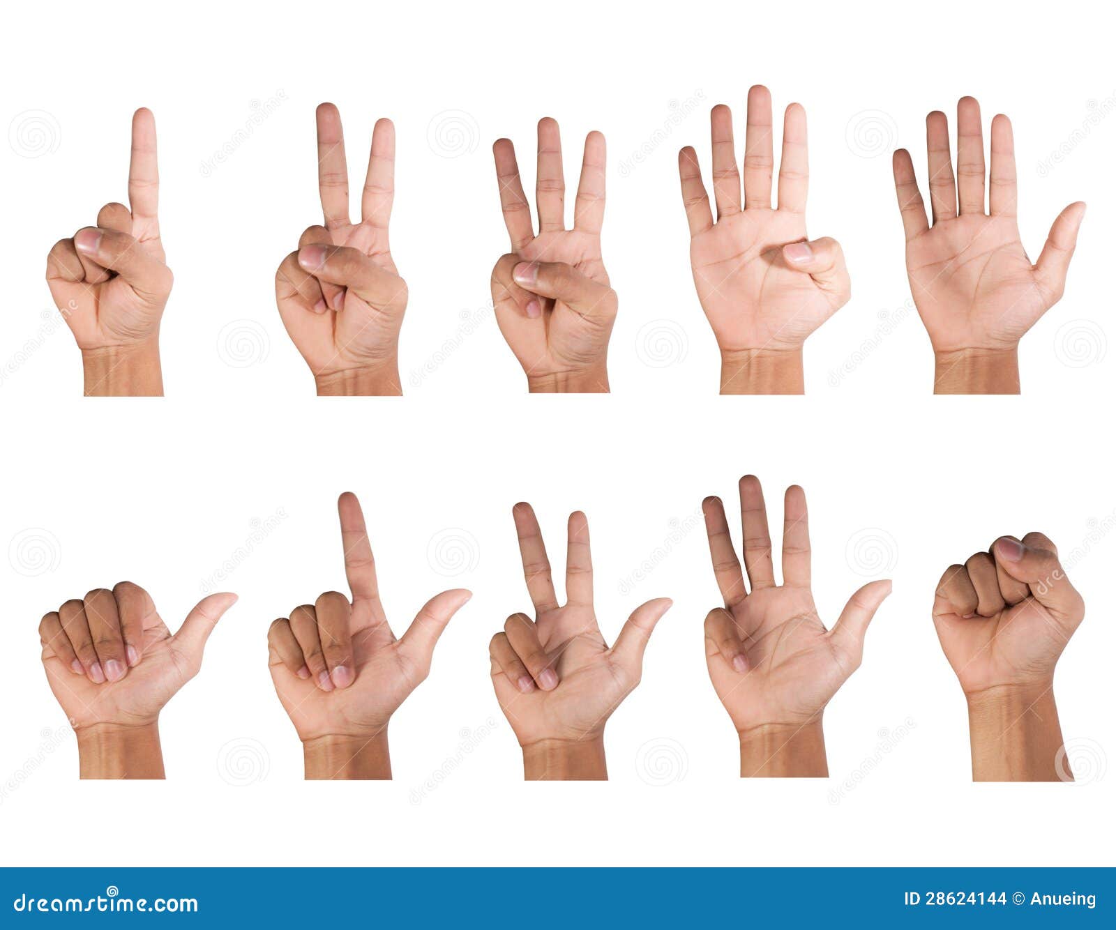 Можно считать на пальцах. Счет на пальцах. Жест счет на пальцах. Цифры на пальцах для детей.