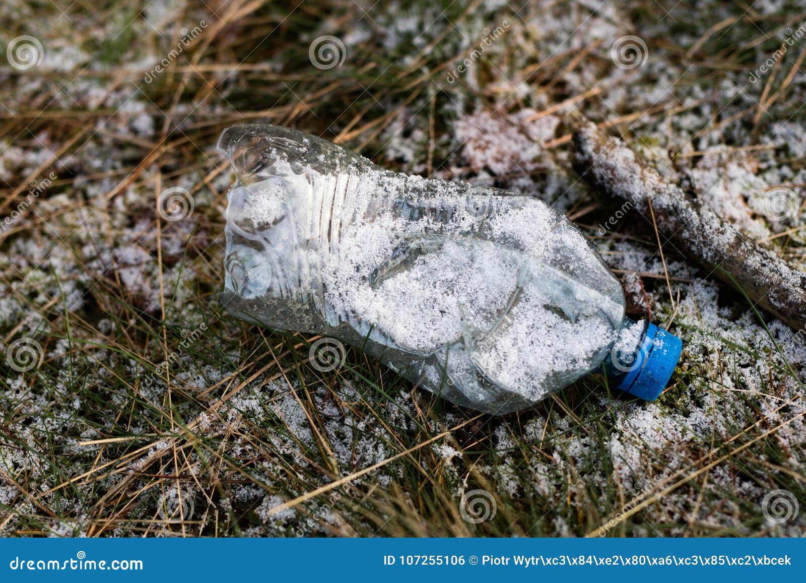 Кидающий стекло. Пластиковые бутылки в лесу. Стеклянная бутылка в лесу. Бросает бутылку.