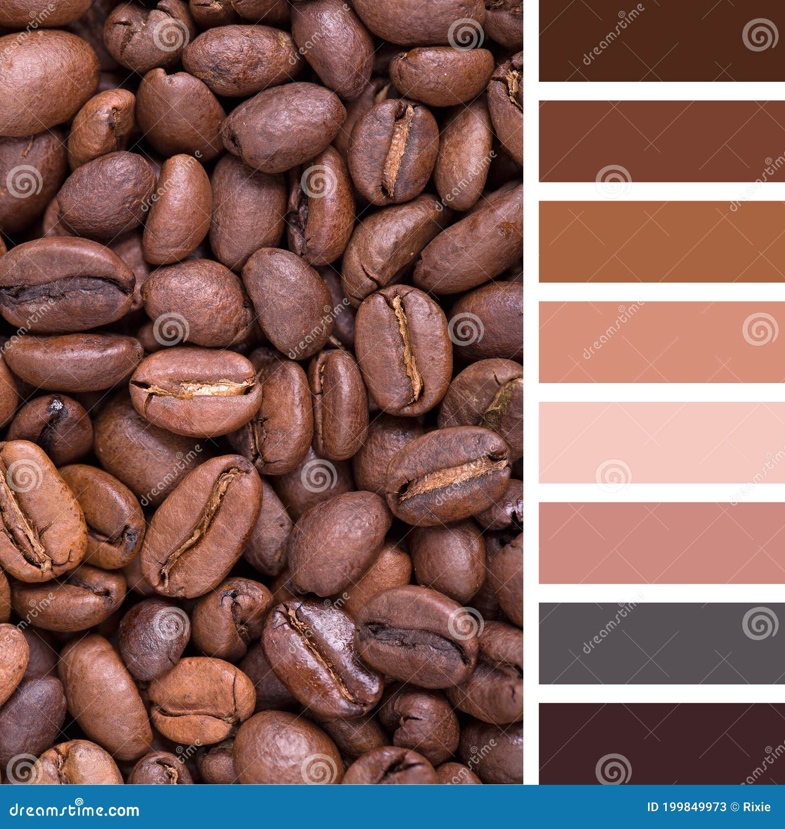 Сочетание цвета какао. Цветовая палитра кофейный. Кофейные цвета палитра. Сочетание цветов кофейный. Оттенки какао.