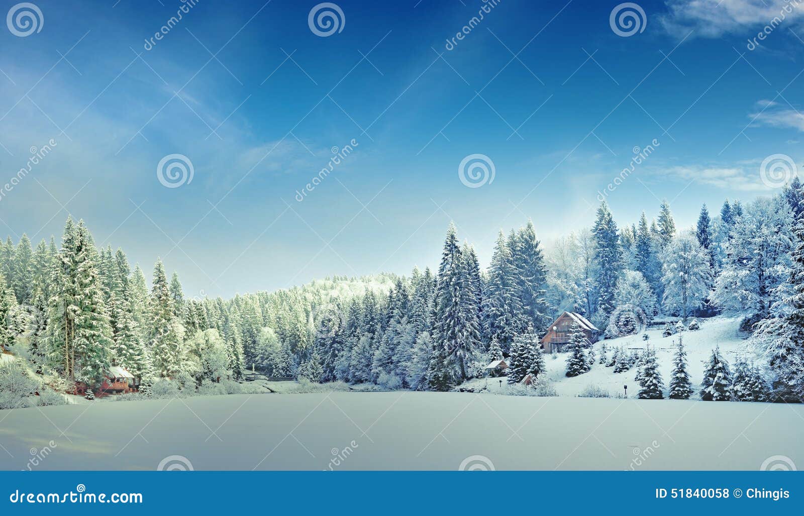 Зимний лес панорама