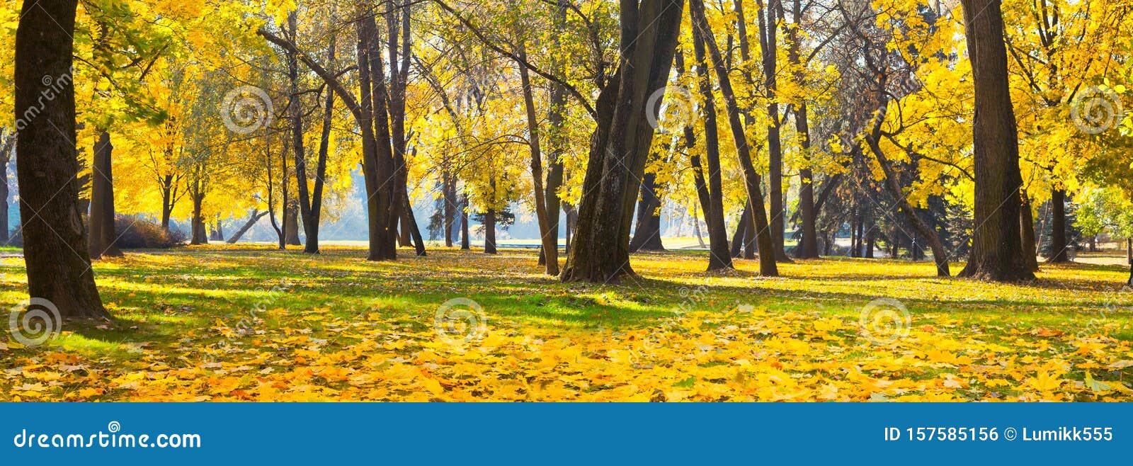 Красивые Осенние Пейзажи Природы Фото Красивые Осенние Пейзажи Природы Фото