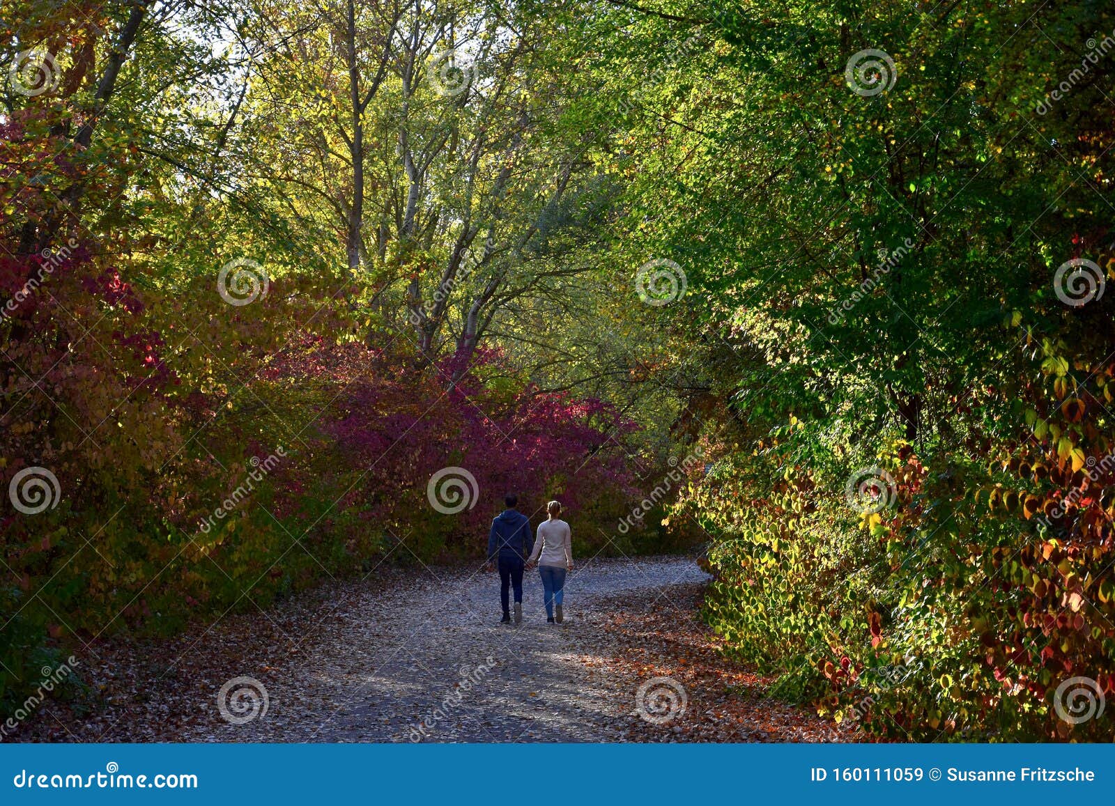 Фото Пары В Осеннем Лесу Фото Пары В Осеннем Лесу