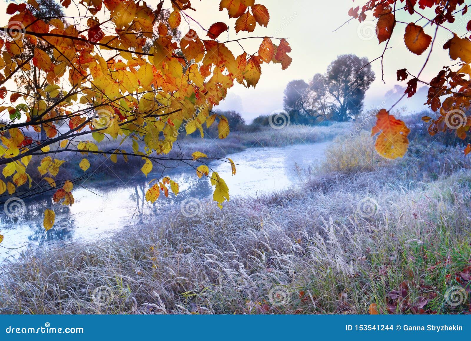 Фото Заморозки Осенью