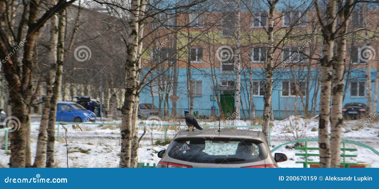 Первый Снег В Городе Фото