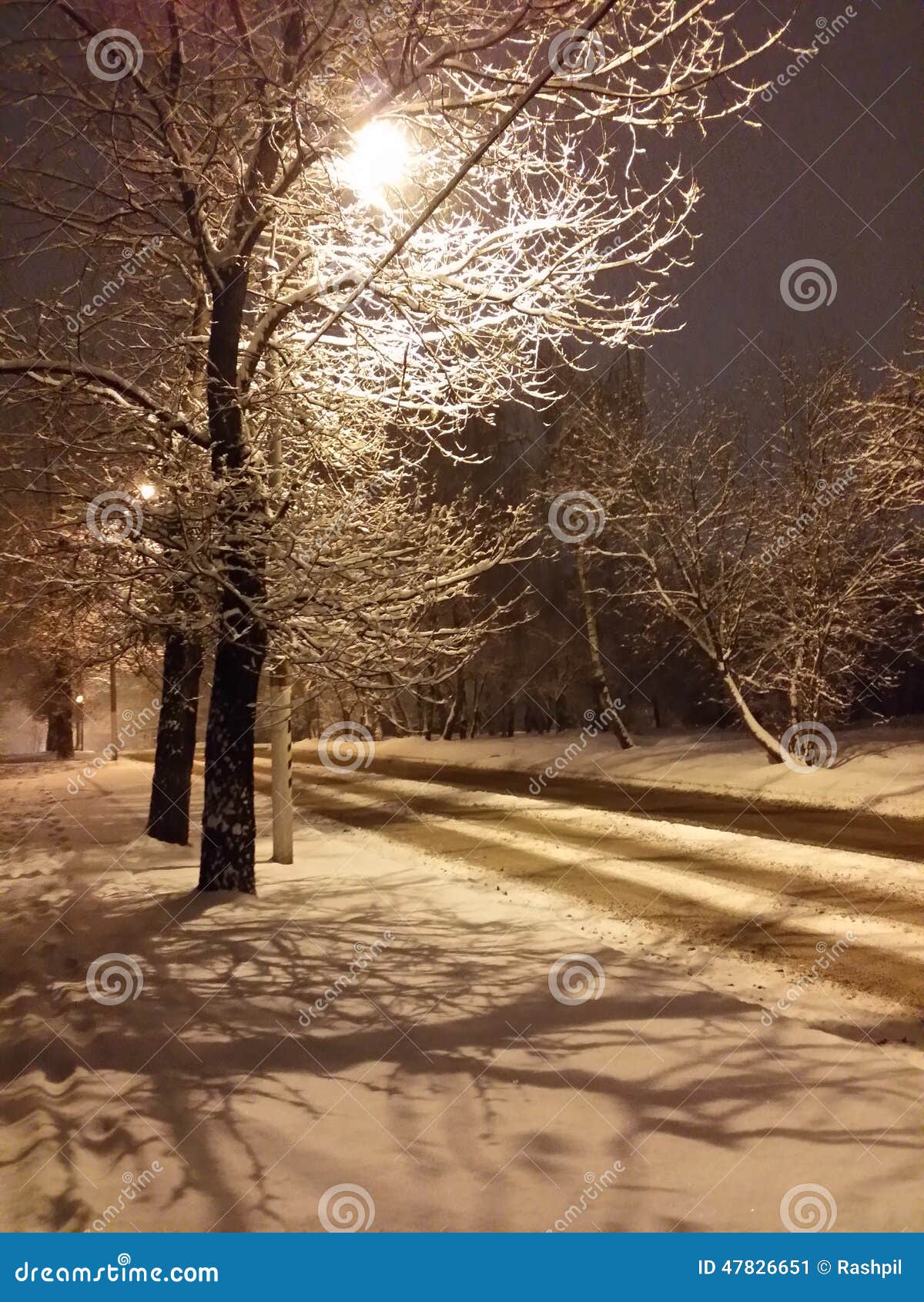 Первый Снег В Городе Фото