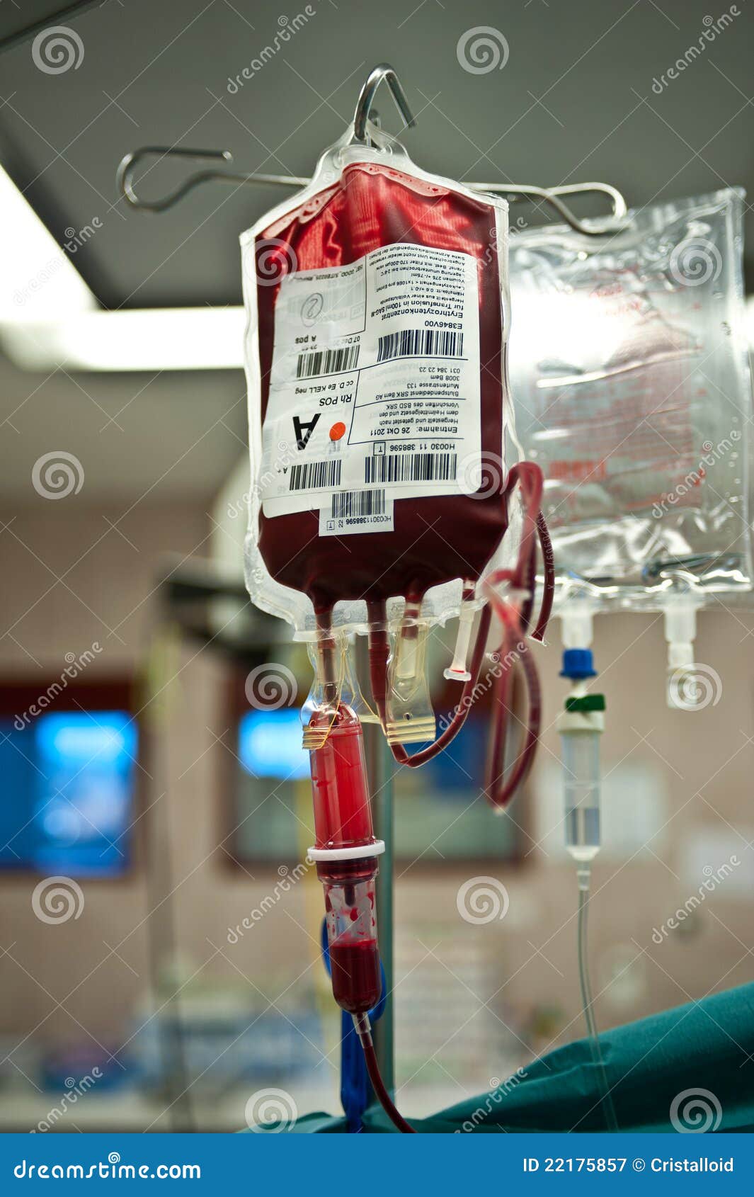 Донор крови крокус сити