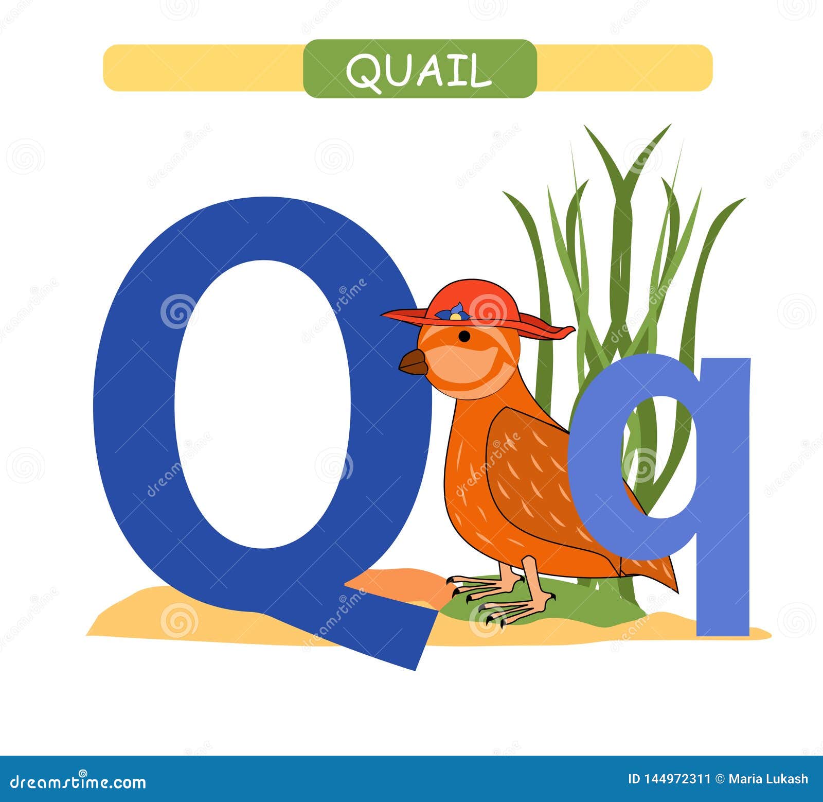 Letter Q and Funny Cartoon Quail. Animals Alphabet a-z. Cute Zoo Alphabet in Vector for Kids Learning English Vocabulary. Printabl Stock Vector - Illustration of language, colorful: 144972311 Letter Q and Funny Cartoon Quail. Animals Alphabet a-z. Cute Zoo Alphabet in Vector for Kids Learning English Vocabulary. Printabl Stock Vector - Illustration of language, colorful: 144972311