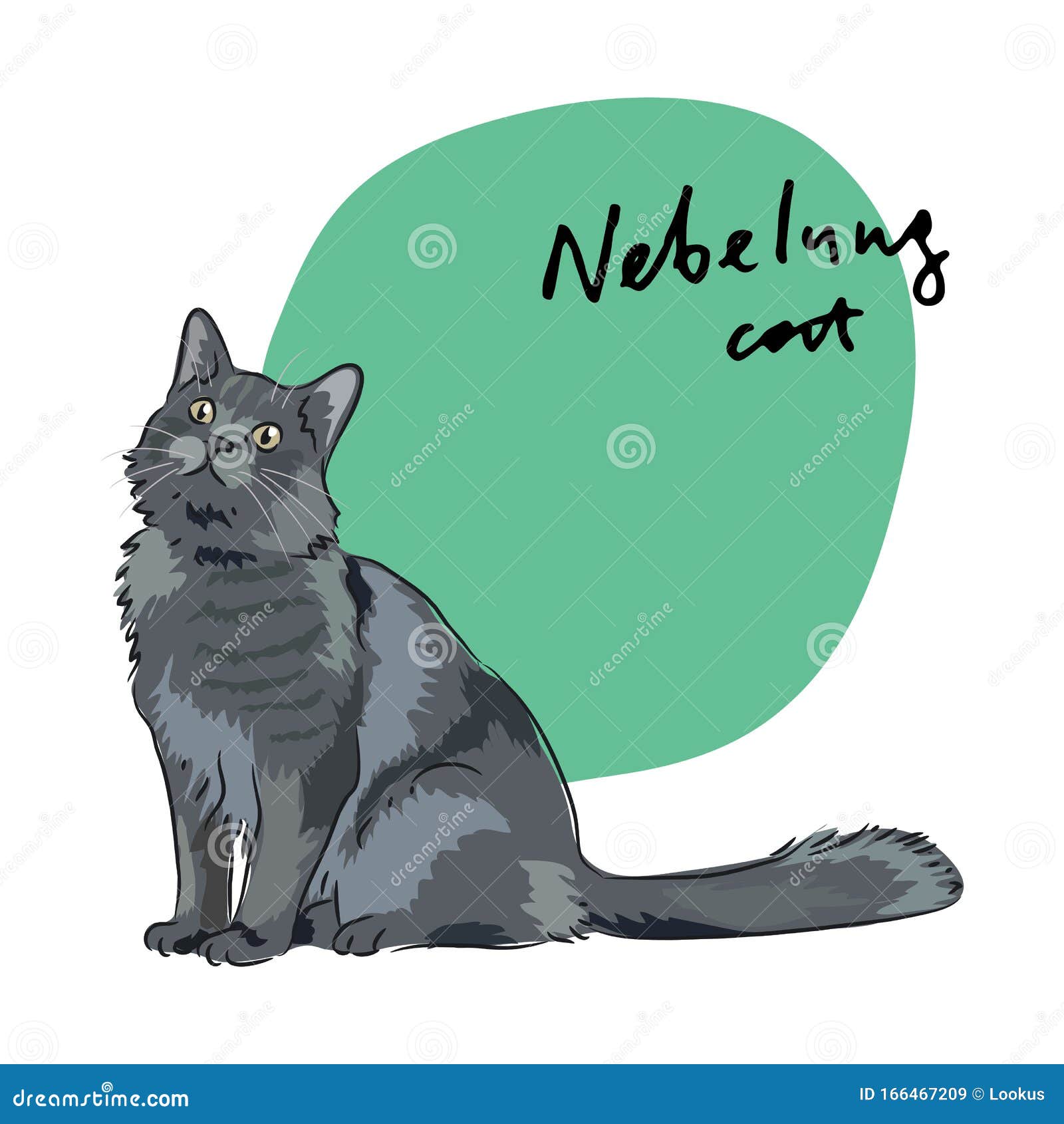 40+ Nebelung cat vector funny animals, cute animals, crazy cats