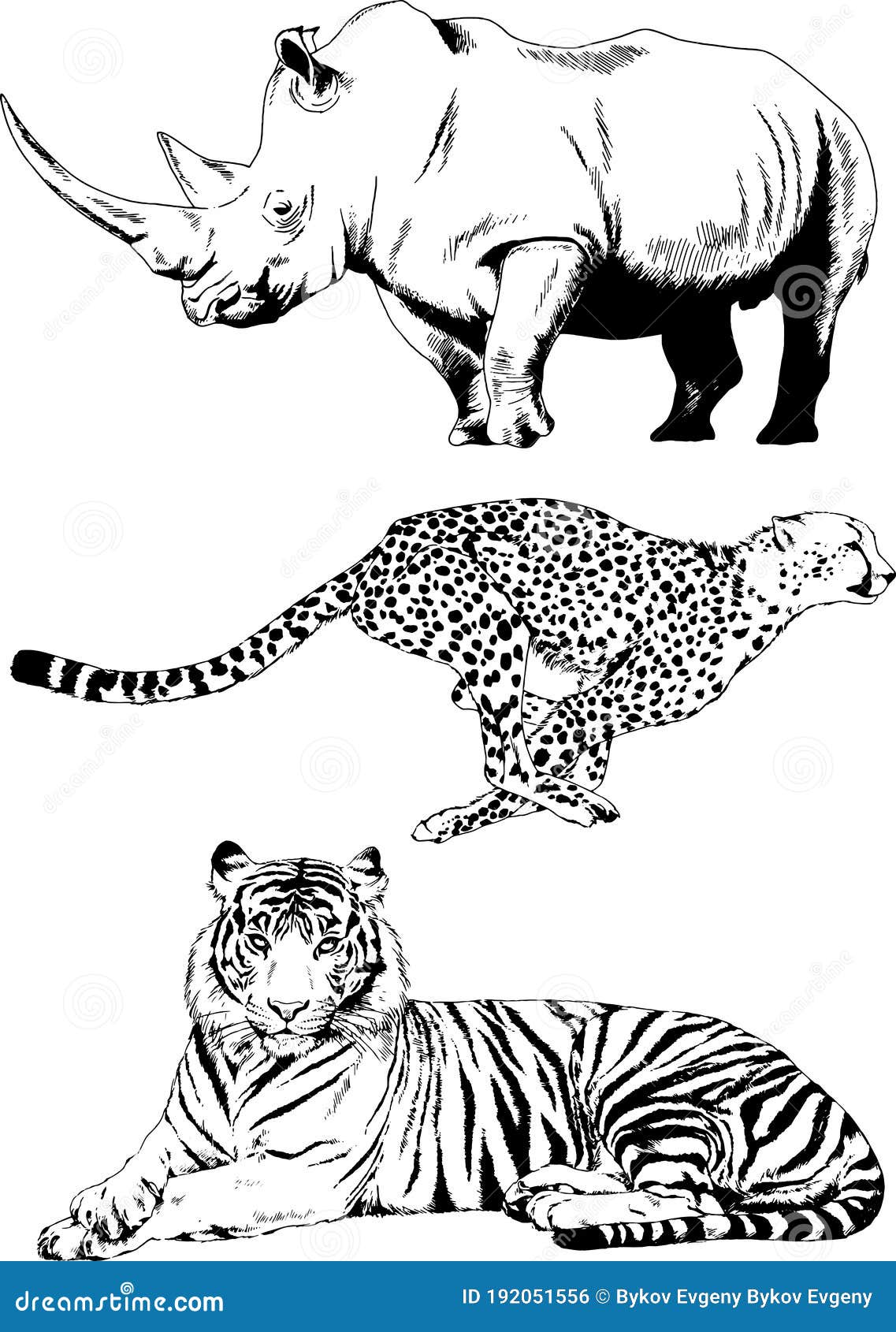 Set of Vector Drawings of Various Animals, Predators and Herbivores, Hand-drawn Sketches Stock Vector - Illustration of chase, drawing: 192051556 Set of Vector Drawings of Various Animals, Predators and Herbivores, Hand-drawn Sketches Stock Vector - Illustration of chase, drawing: 192051556