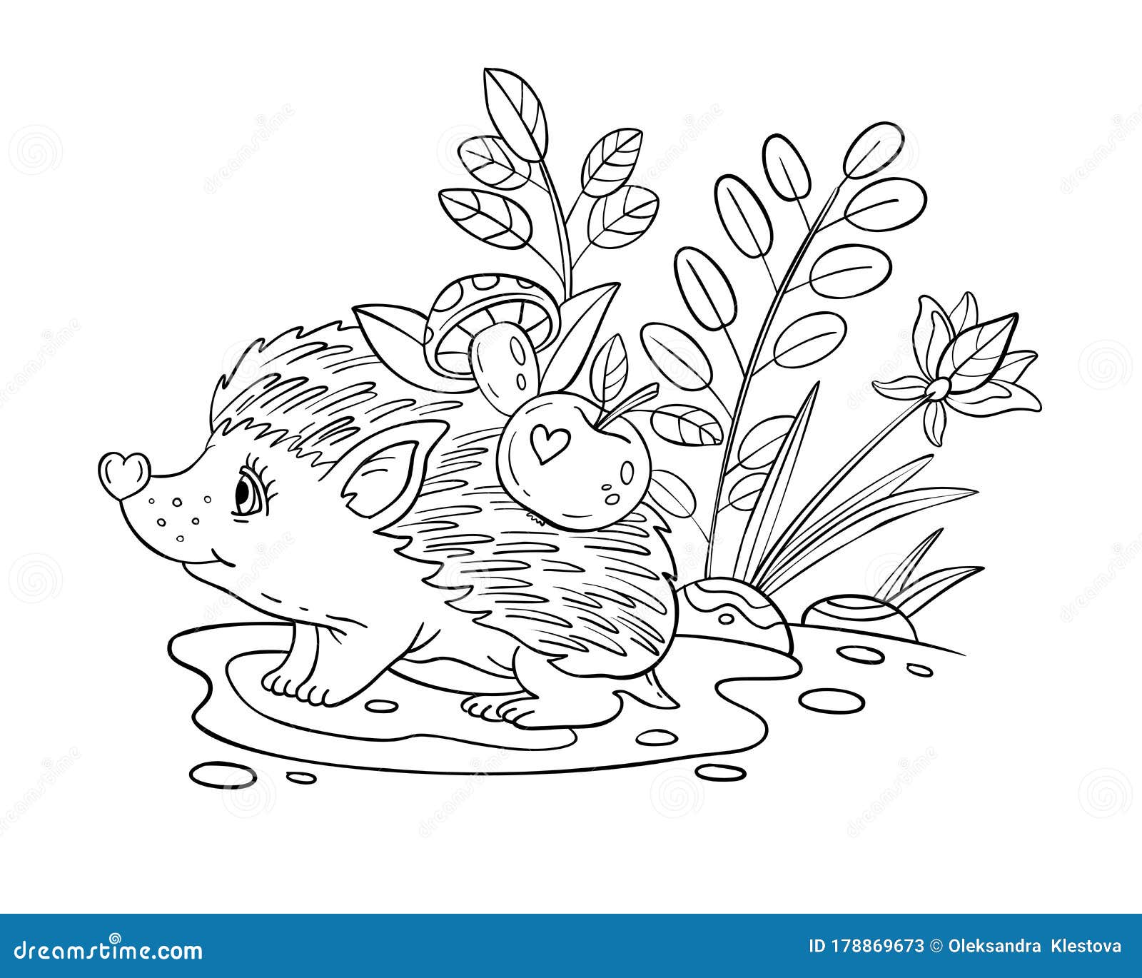 Download Vector Coloring Page With Baby Hedgehog Plants Apples Mushrooms Leaves Stock Vector Illustration Of Wild Baby 178869673