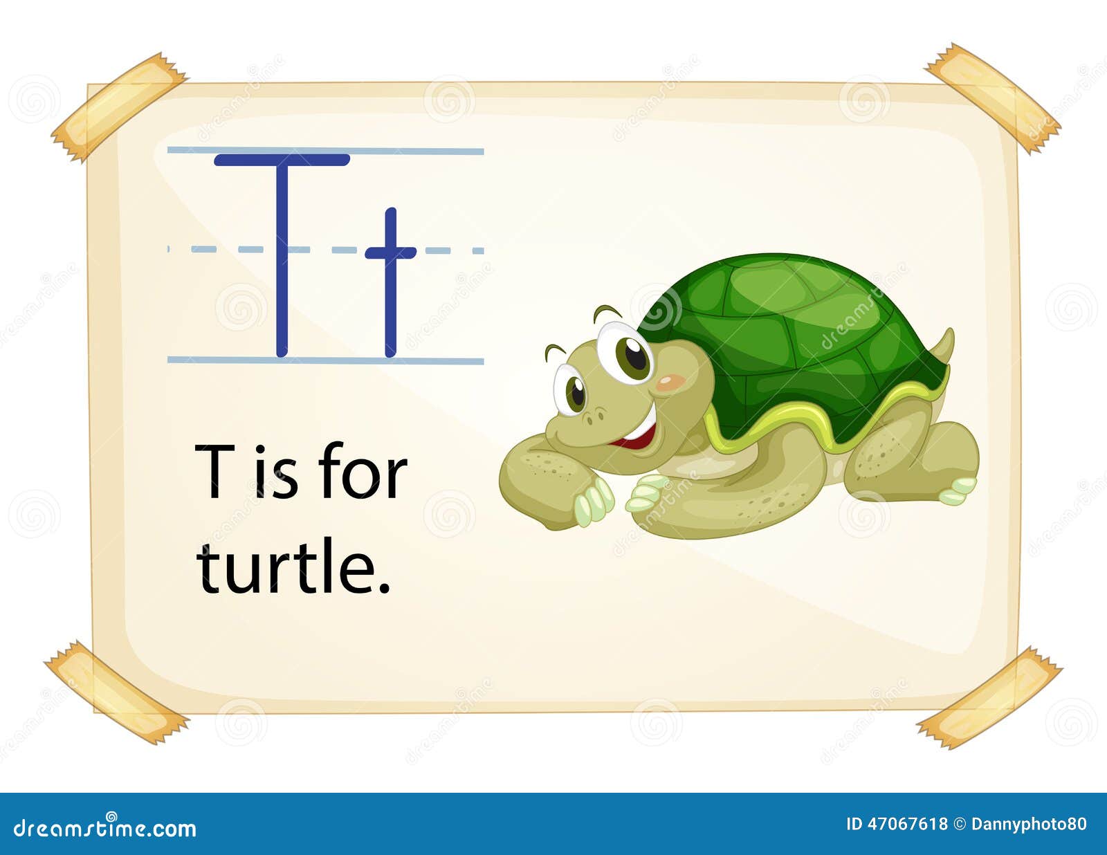 T turtle. Черепашка с письмом. Черепаха вектор. Tutel черепаха. Задача про кошку и черепаху на столе.