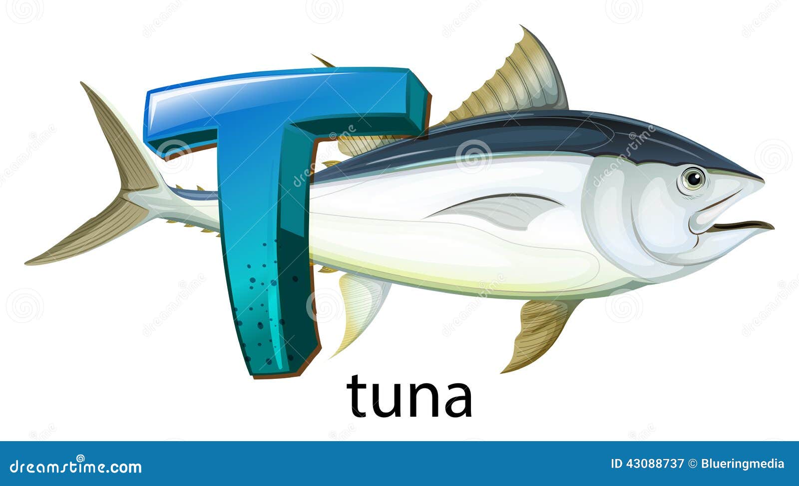 Рыбка на букву т. Рыба на букву т. Тунец вектор. Рыба на букву с. Тунец без фона.