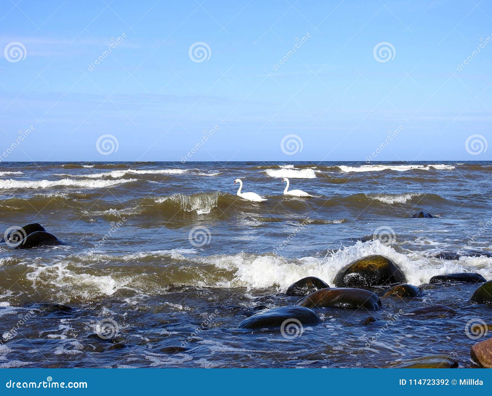 Балтийское Море Фото Красивые