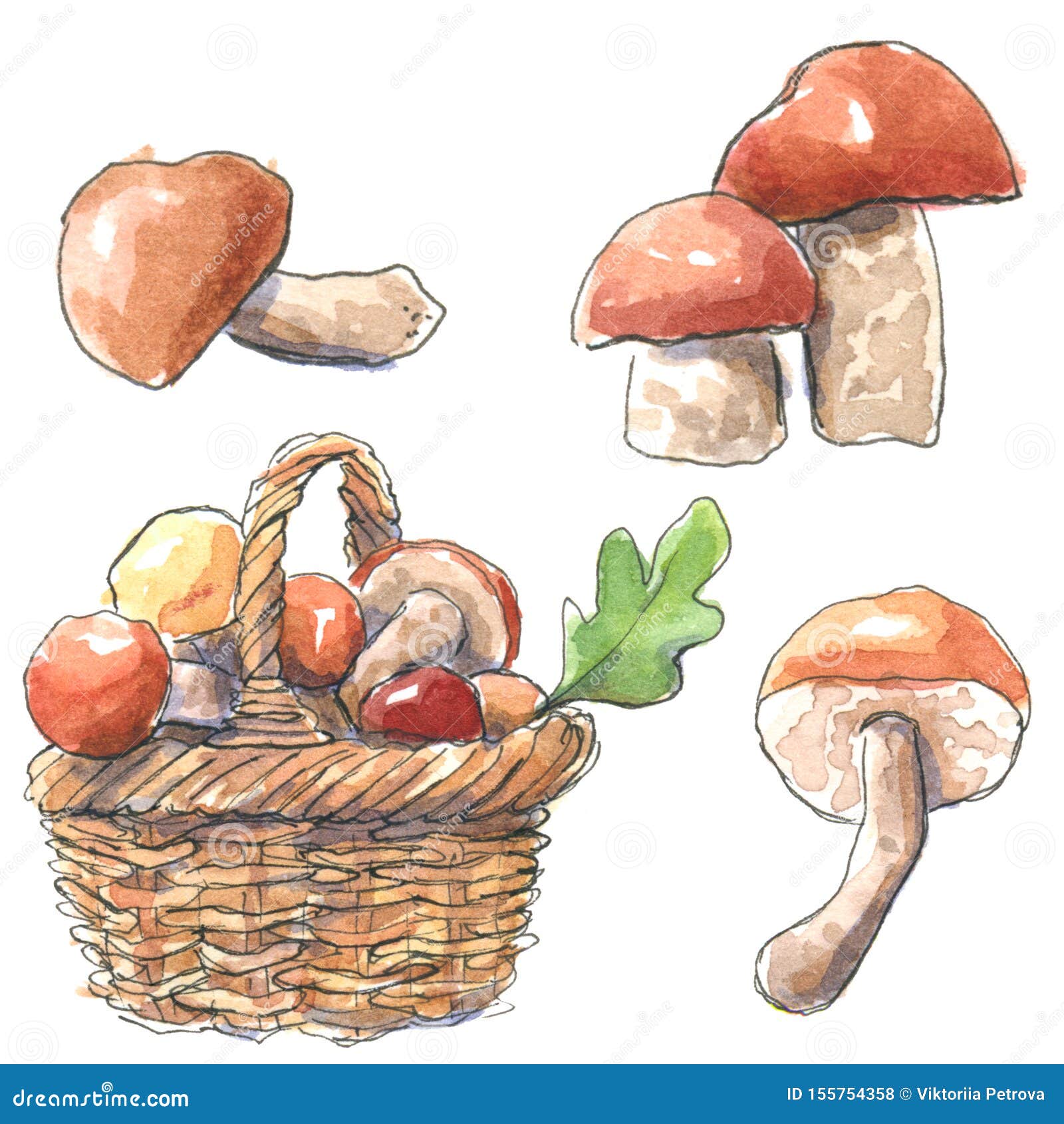 Корзинка с грибами рисунок для детей