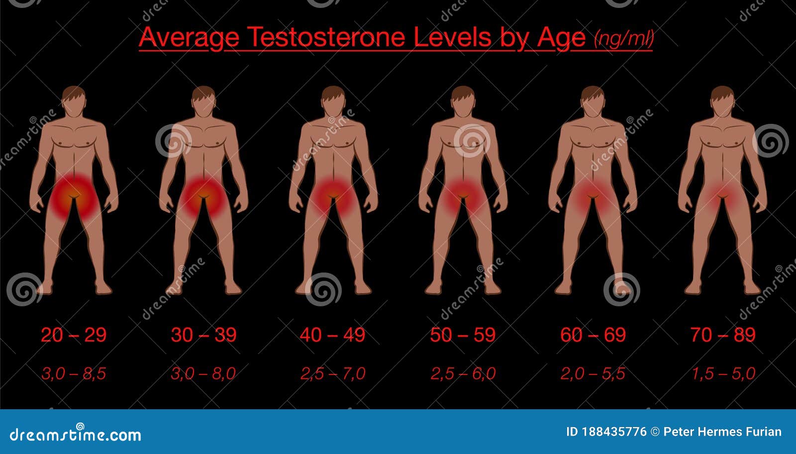 как тестостерон влияет на размер члена фото 4