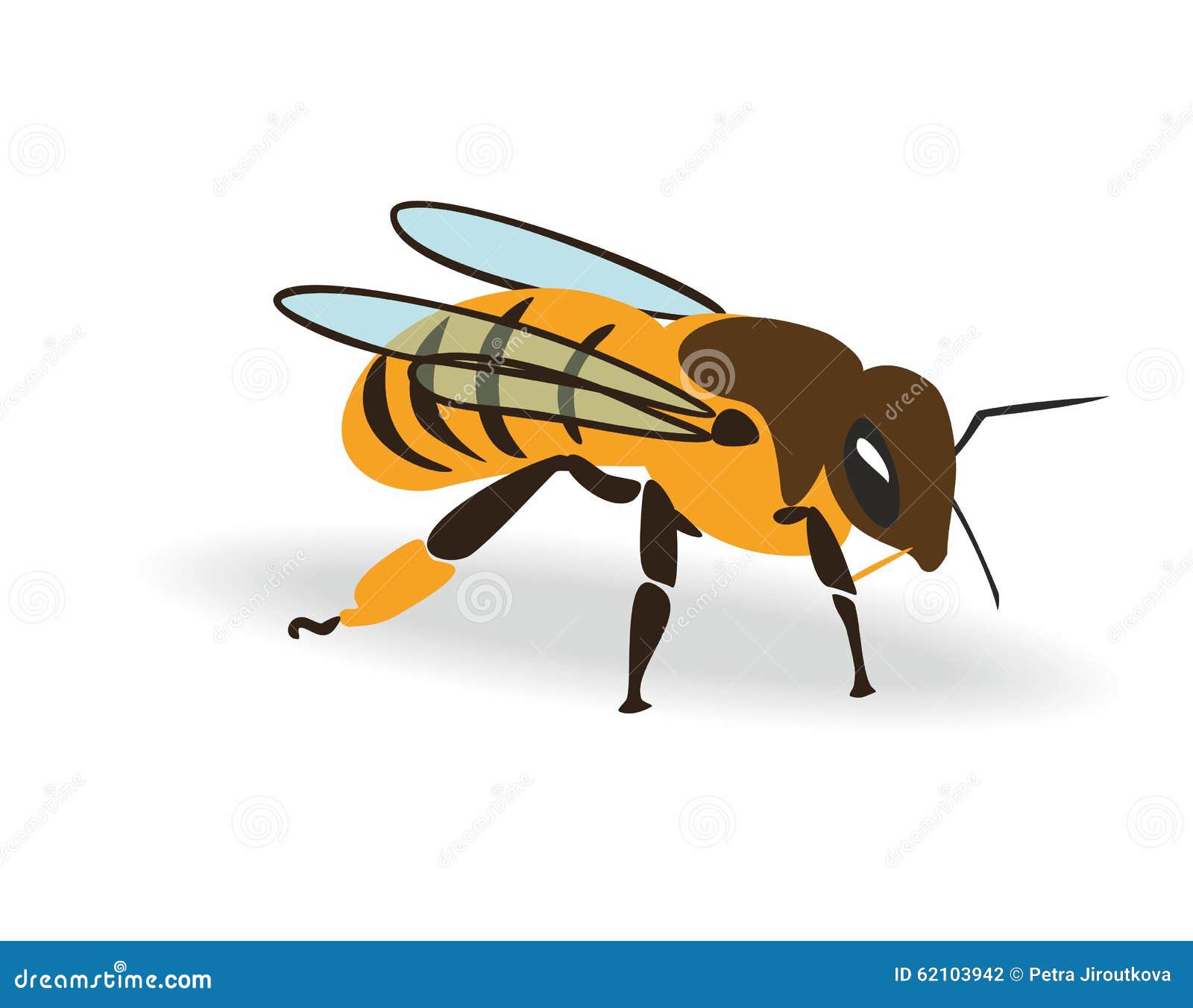 Окраска тела пчелы. Красить пчелу. Крылья пчелы вектор. Слка покрашена в пчелу. Как красить пчела на рисунке.