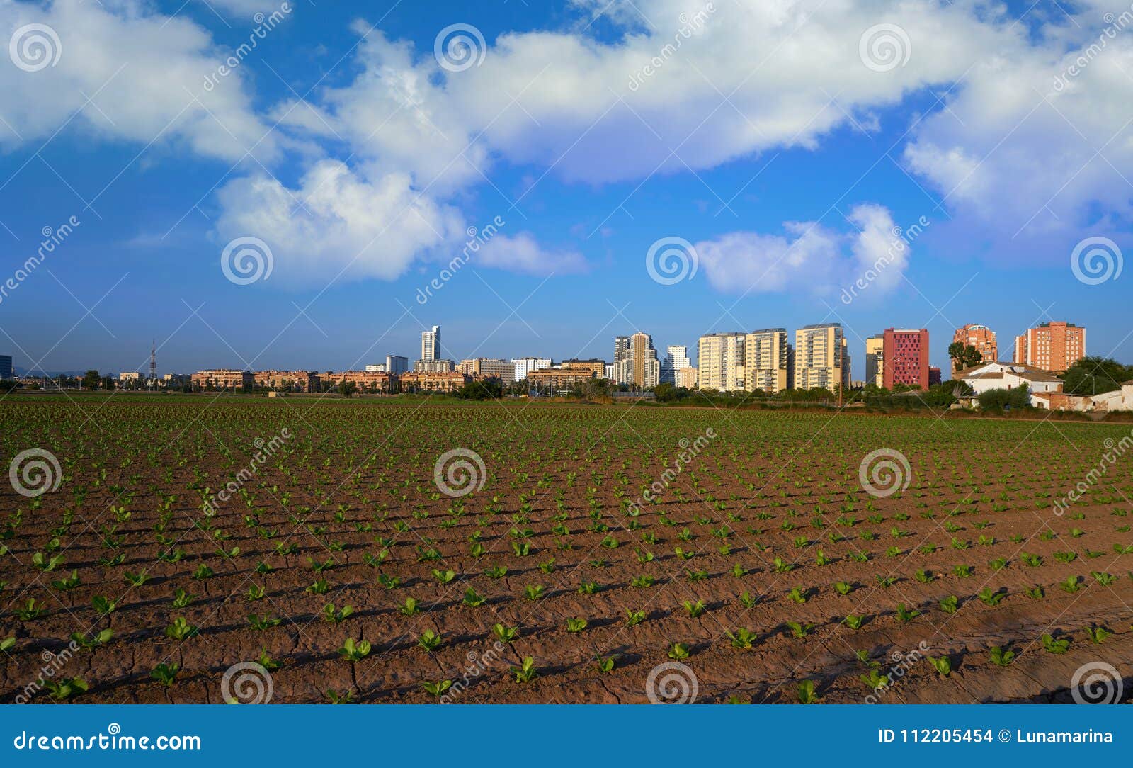 Crops in spanish