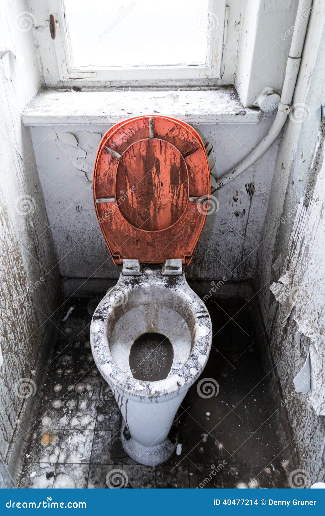 Туалет открытый мир взлома. Унитаз открытый. Старинный унитаз. Туалет открытый.