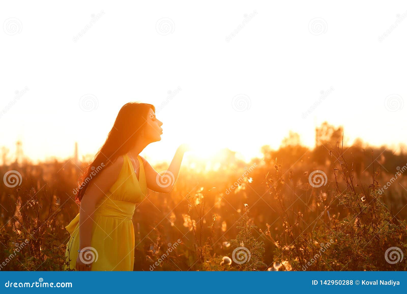 Солнце Красивое Фото Девушки
