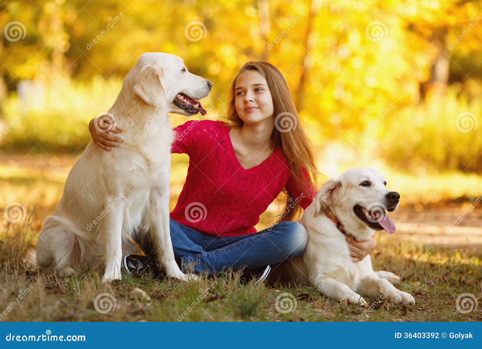 Girl two dog. Золотистый ретривер девочка. Золотистый ретривер с девушкой. Labrador Retriever гуляет. Красивая девушка гуляет с лабрадором картинка.