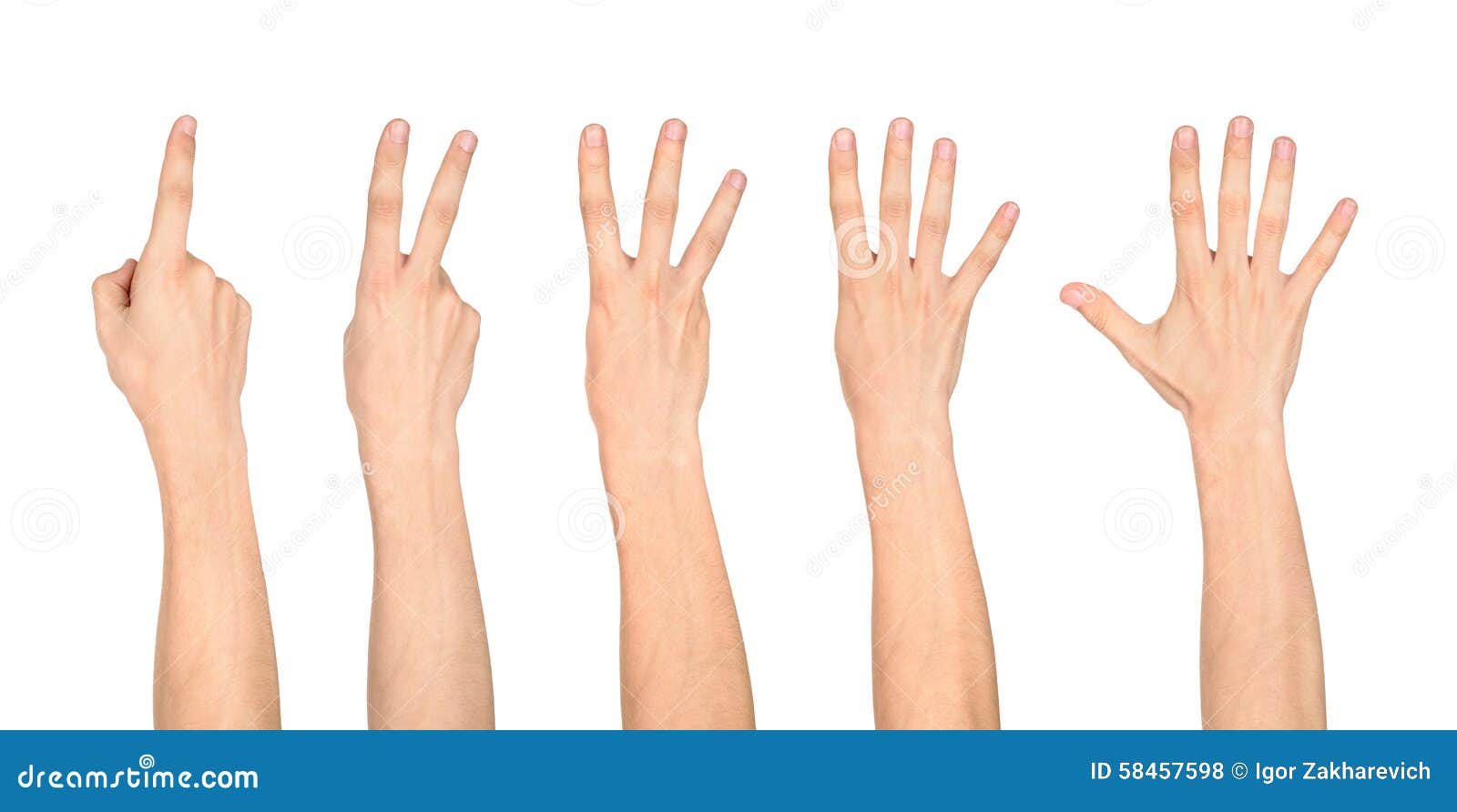 Можно считать на пальцах. Пальцы от одного до пяти. Руки с пальцами от 1 до 5. Четыре пальца на белом фоне. Цифры на пальцах на белом фоне.