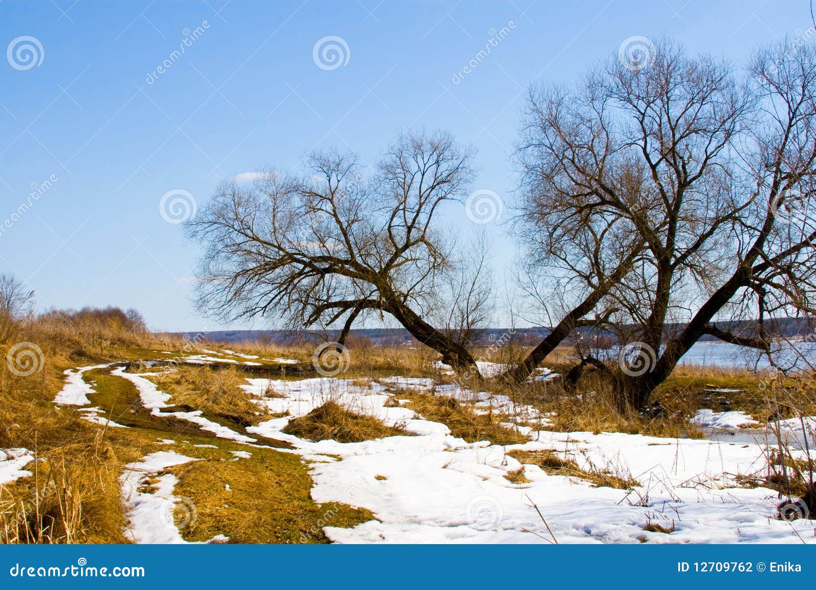 Природа ранней весной