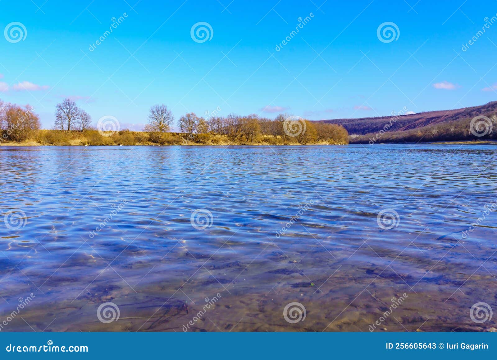 Фон река