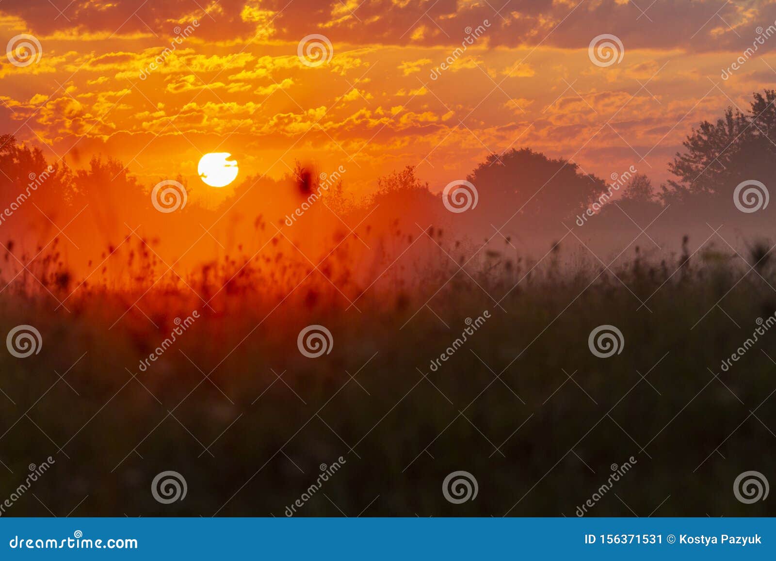 Прекрасный осенний рассвет на диком поле Стоковое Изображение - изображение  насчитывающей ландшафт, цветок: 156371531
