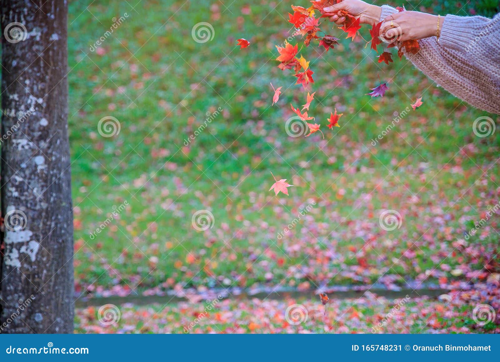 Фото Человека С Листьями