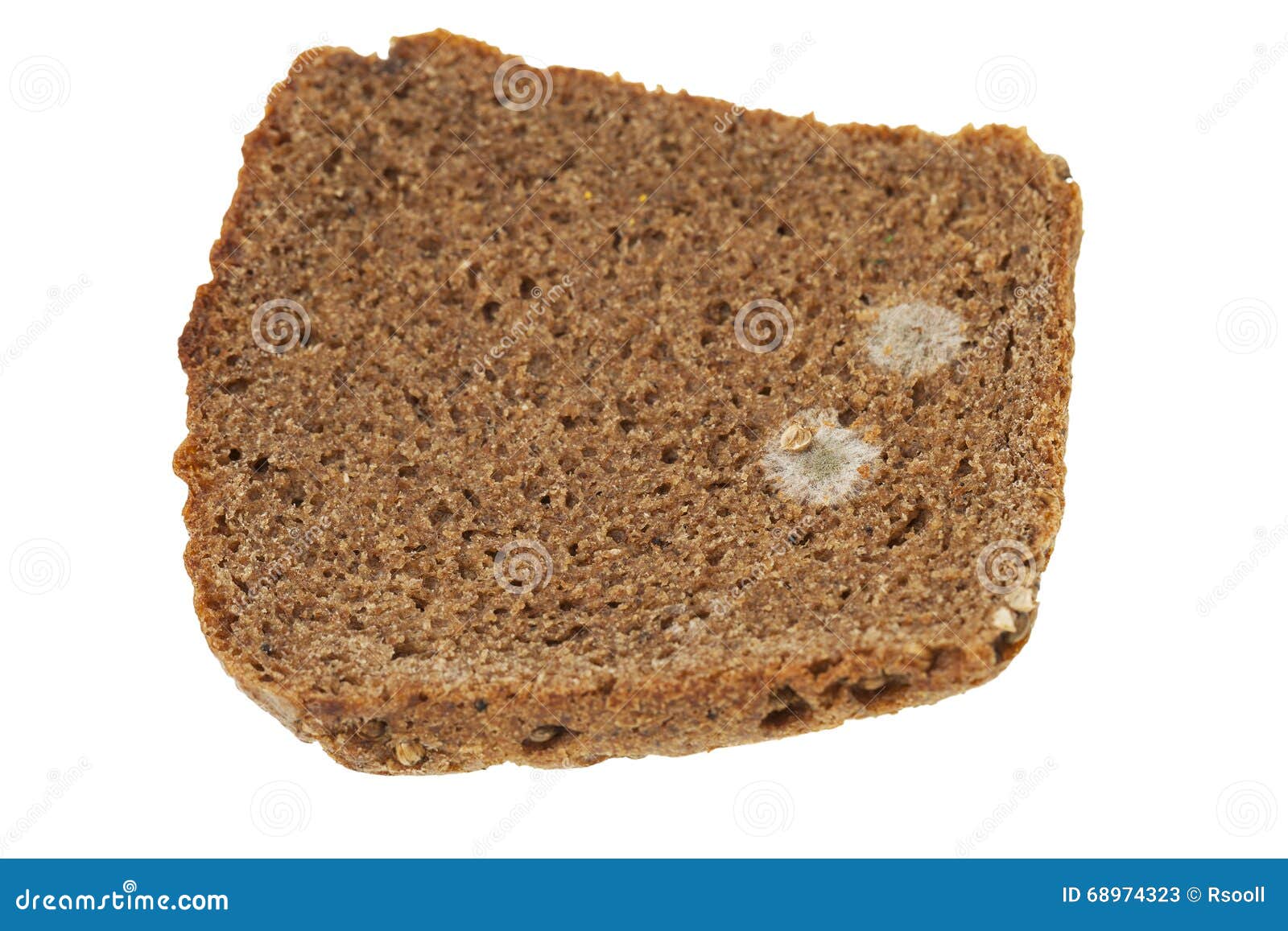Кусочек хлеба с плесенью. Черная плесень на хлебе. Плесень на кусочке хлеба. Плесень на Бородинском хлебе. Белая плесень на черном хлебе.
