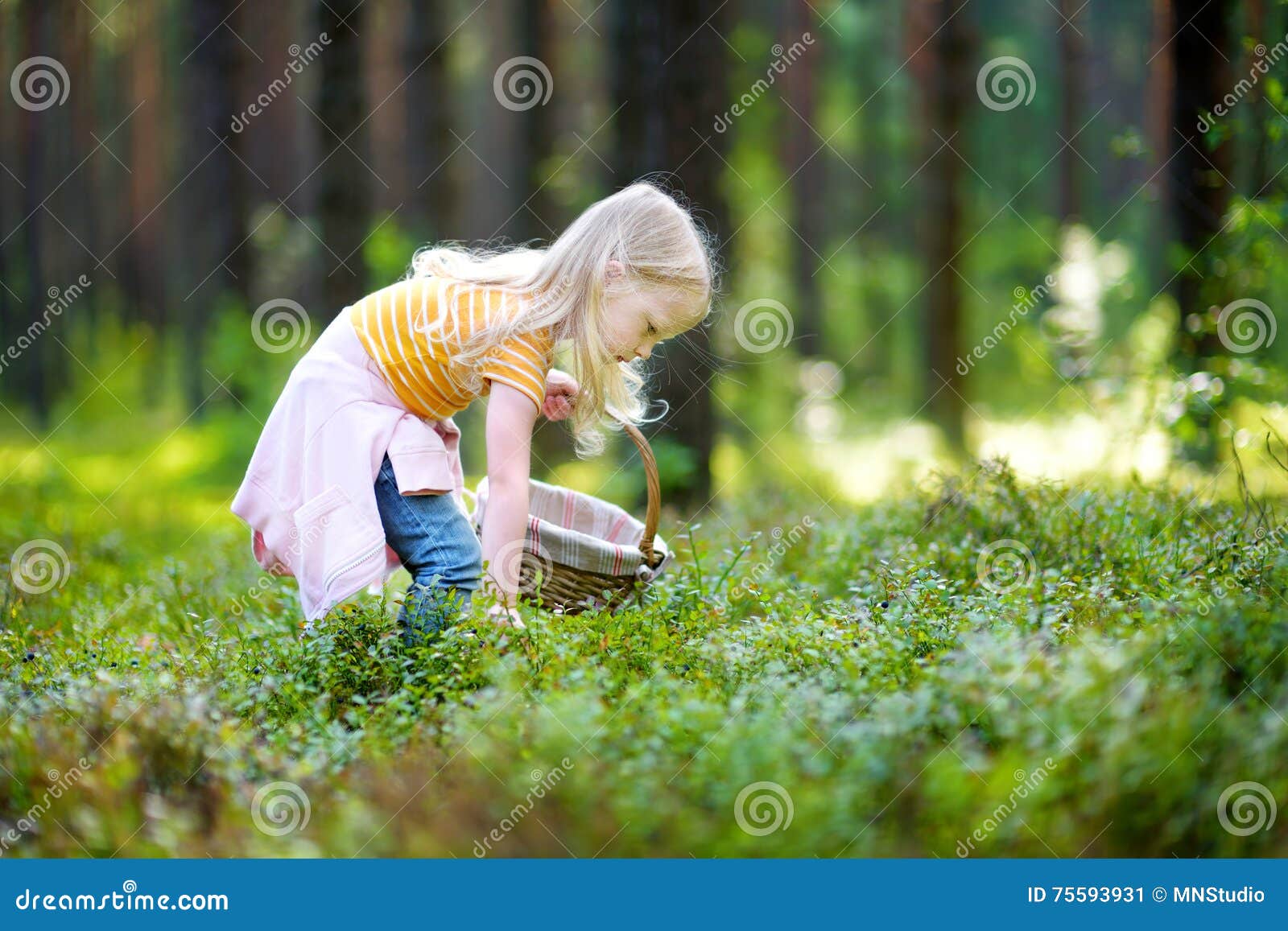Включи девочку в лесу. Девушка собирает ягоды в лесу. Дети с корзинками в лесу. Девушка в лесу собирает Яноду. Девочка в лесу собирает цветы.