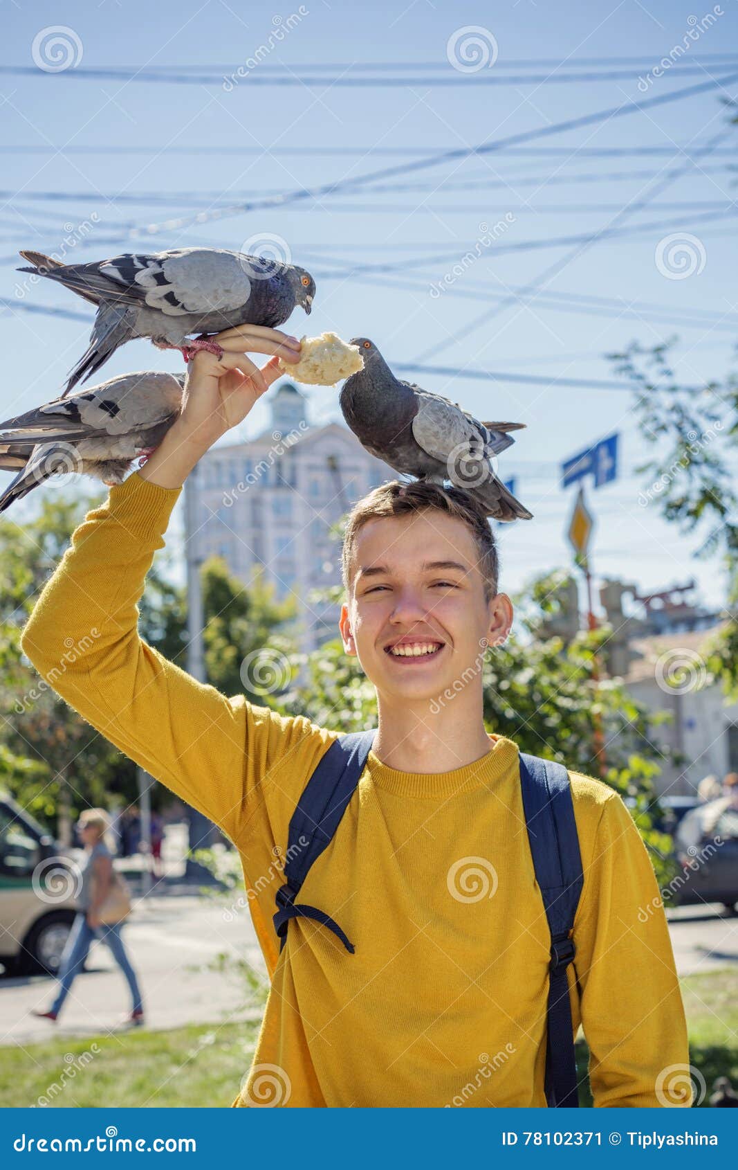Голубь подросток